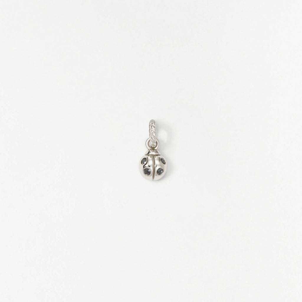 Ladybug Charm