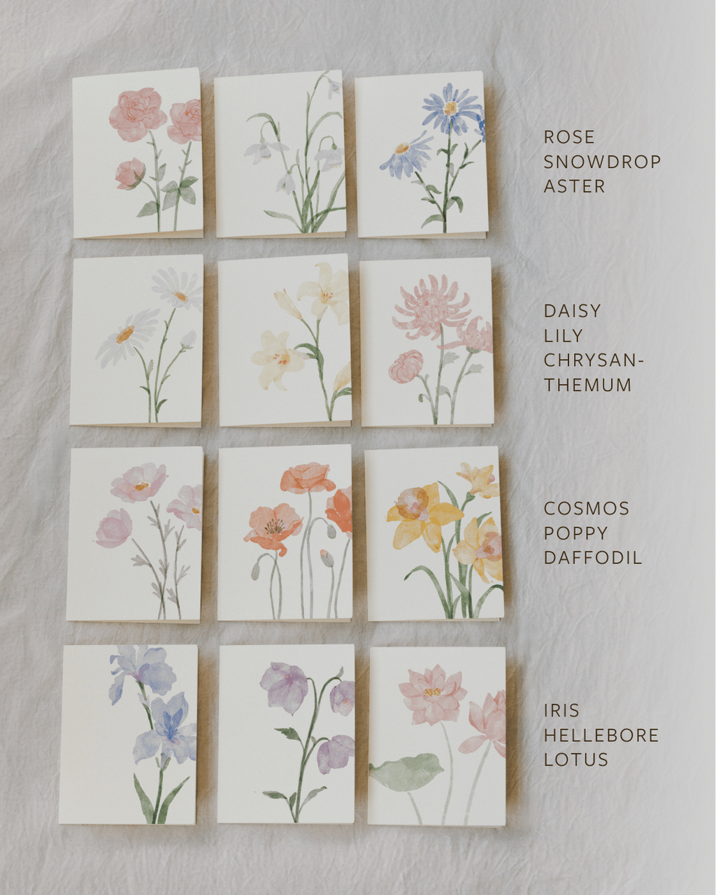 Flora Greeting Card