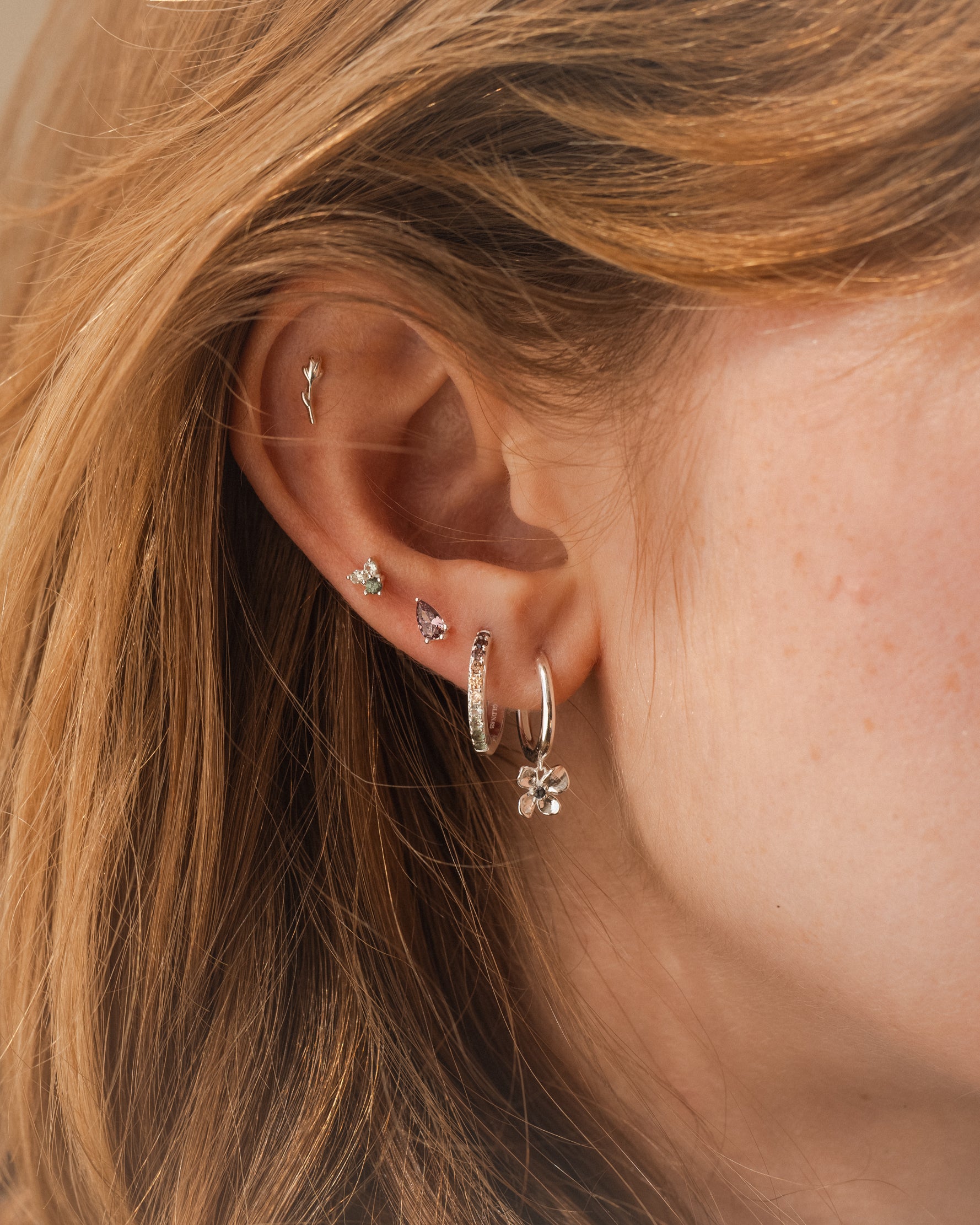 Poet's Garden Gradient Hoops