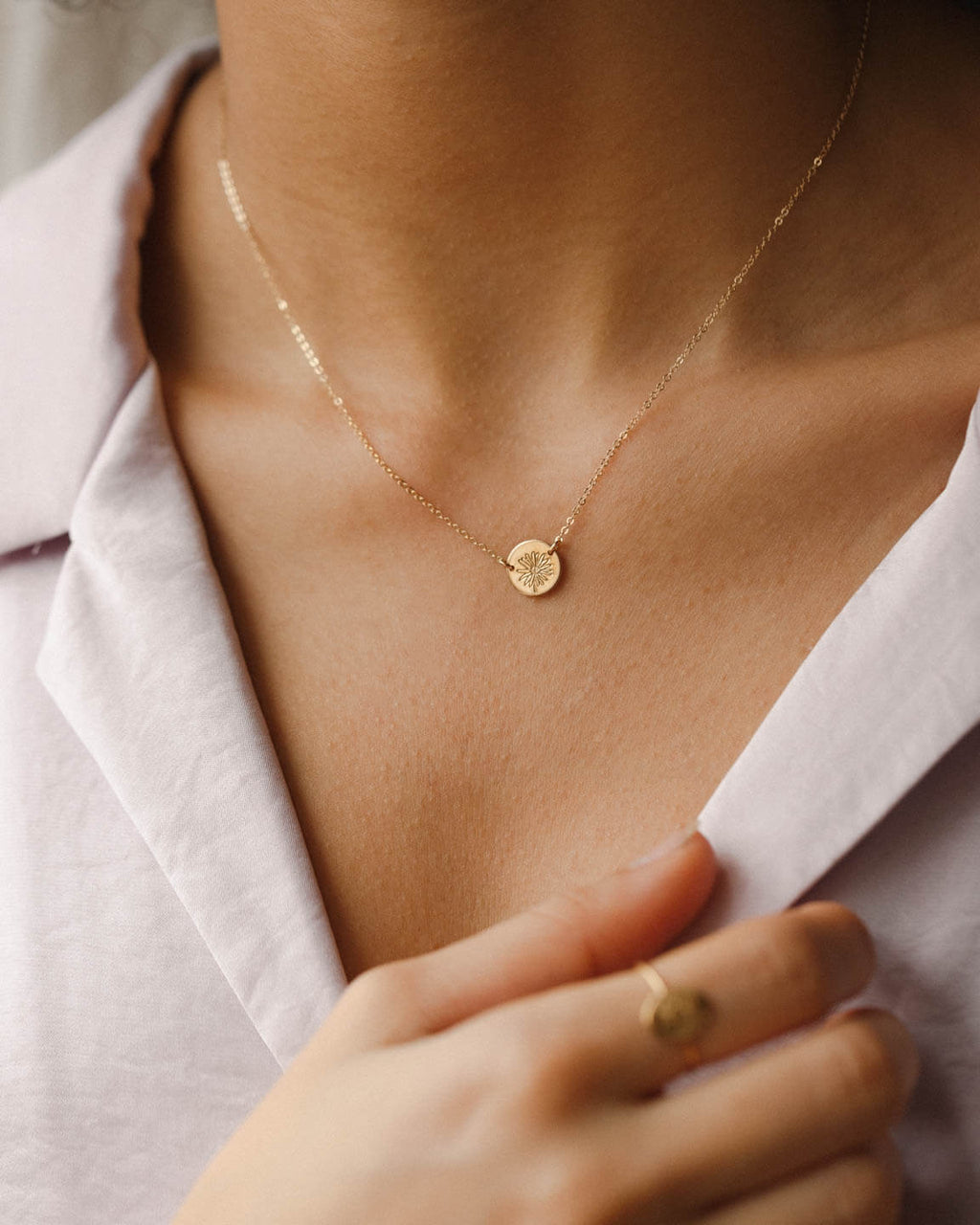 daisy-flower-collection