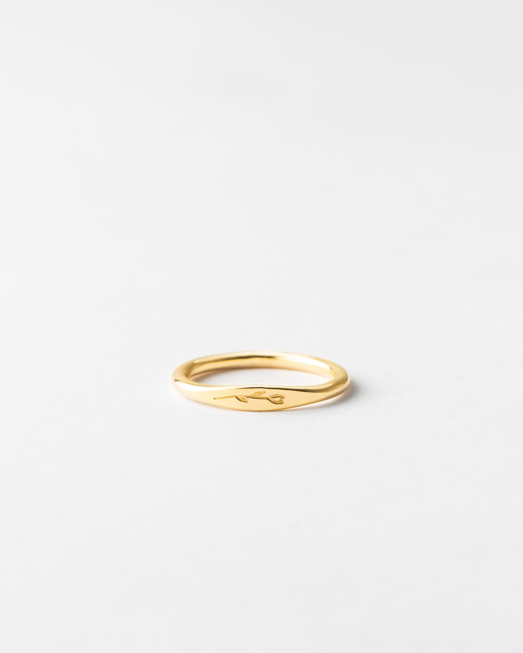 plp_main; Material: 14k Gold Fill, 14k Solid Gold